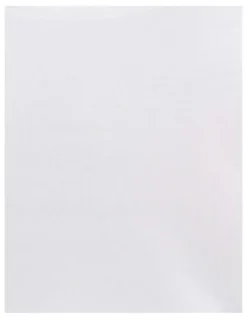 adidas 2 Pack Active Modal Comfort Tank Top With Cotton in White