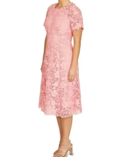 Anthea Crawford Nila Dress in Rose