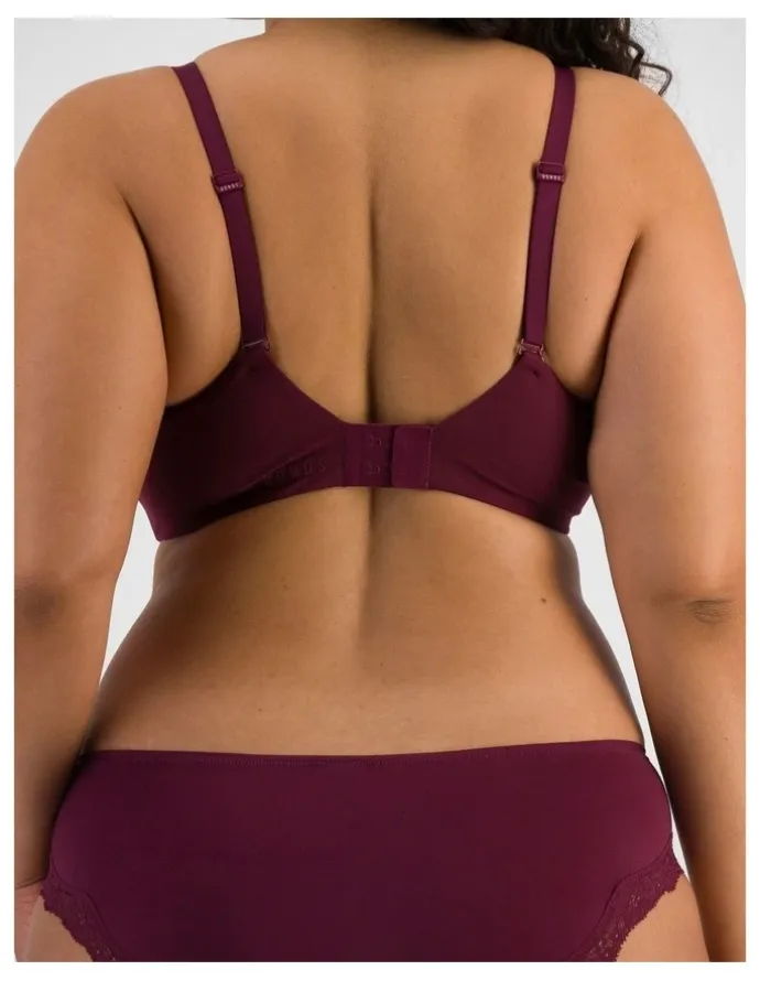Bonds Bases Wirefree Scoop Bra in Queen Bee