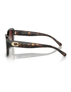 Coach CD472 Sunglasses in Dark Tortoise