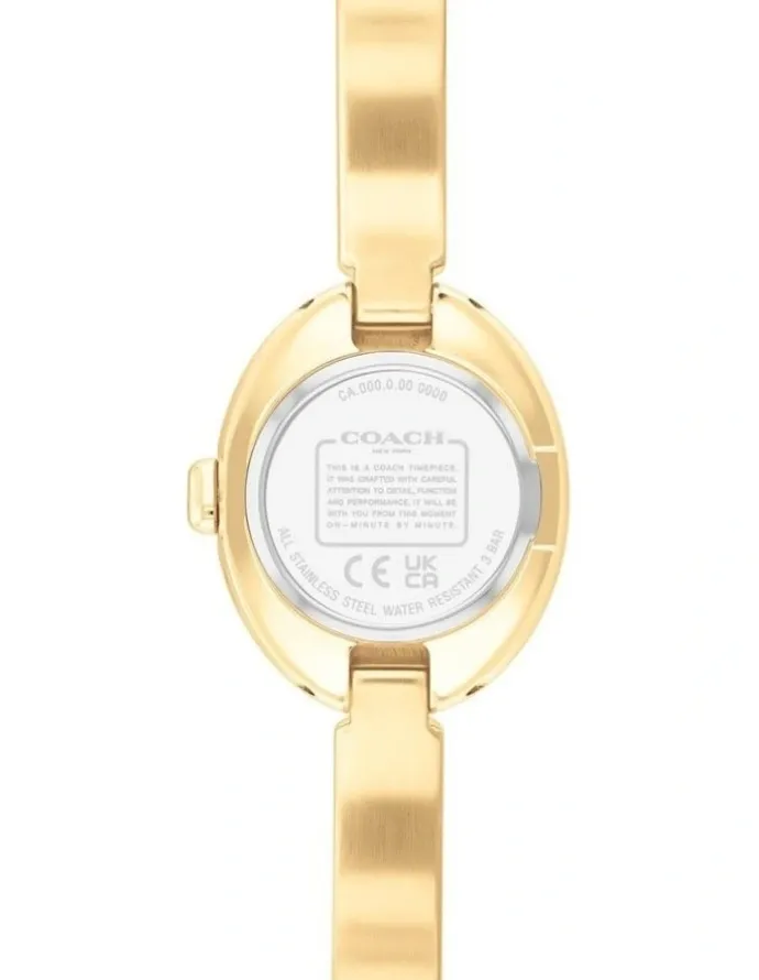 Coach Sammy Ionic Plated Dial Watch in Gold