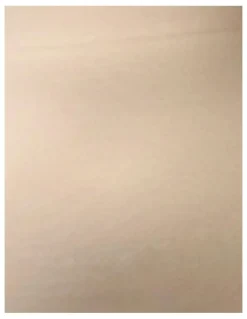 Cupid Shapewear Sleek Essentials Ultra High Waist Shaping Brief in Warm Beige