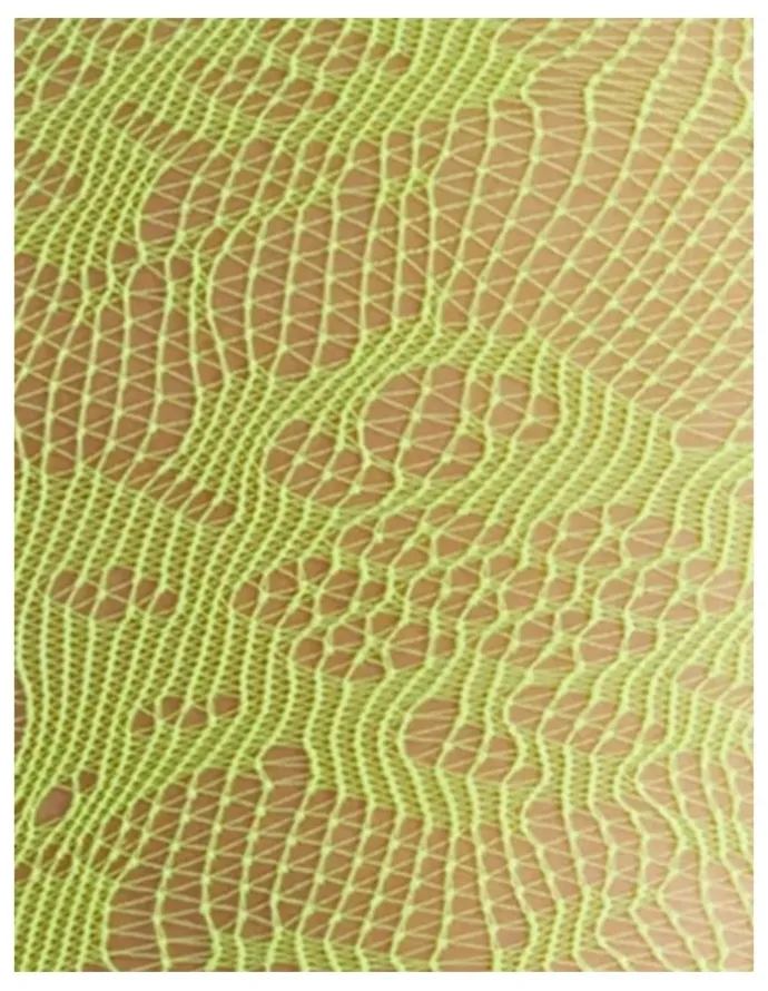 High Heel Jungle Lola Lace Tights