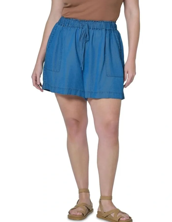 Indigo Tonic Jadie Chambray Shorts in Blue