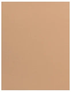 Leonisa AirLift Butt-Lifting Shapewear & Anti-Chafe Short in Golden Beige