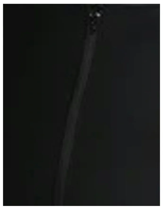 Leonisa Cupless Long Leg Full Body Shaper With Zip Front in Black