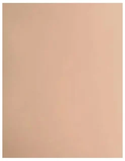 Leonisa Essential Boldly Short Sleeve Shaping Tummy Control Bodysuit in Golden Beige