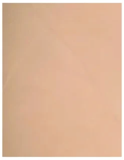 Leonisa InvisiLift Seamless Butt-Lift Anti-Chafe Shorts in Beige