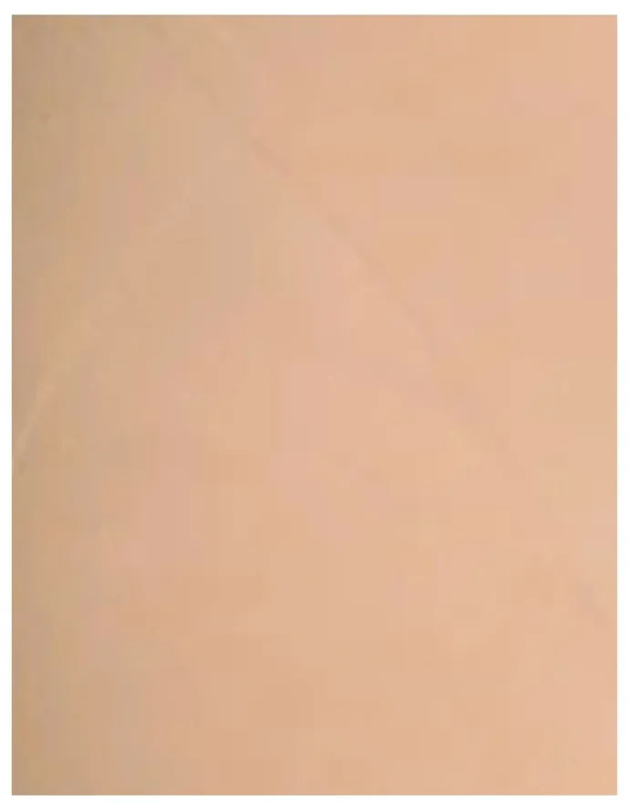 Leonisa InvisiLift Seamless Butt-Lift Anti-Chafe Shorts in Beige
