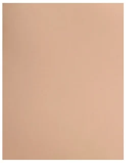 Leonisa On Target Firm Tummy Control Body Shaper Short in Nude