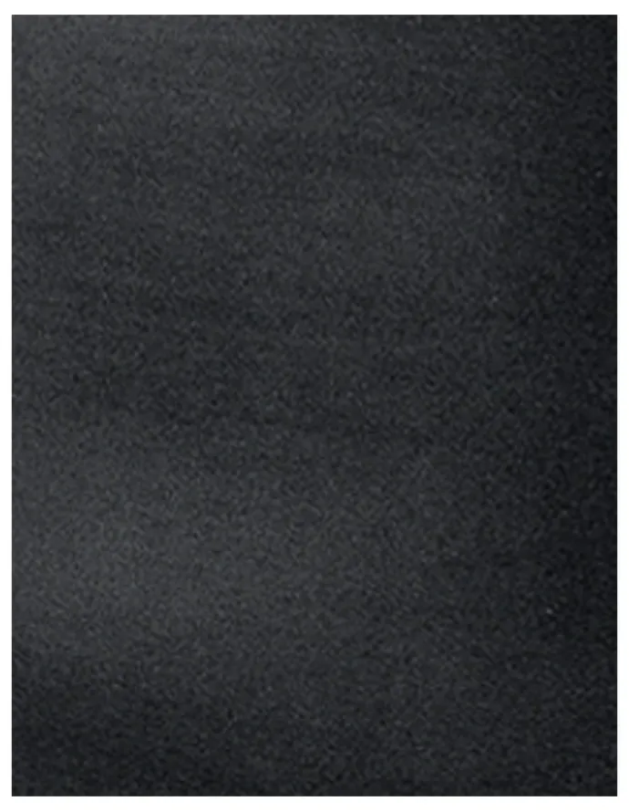 Leonisa On Target Firm Tummy Control Body Shaper Short in Black