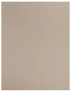 Leonisa Perfect Fit Seamless High Waist Shaping Brief in Beige