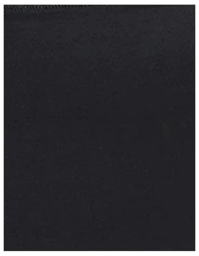 Leonisa Sheer Undetectable Medium Control High Waist Shaping Brief in Black