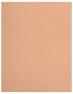 Leonisa SmartCore Low Back Classic Sculpting Cupless Body Shaper in Golden Beige