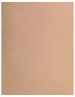 Leonisa Total Smooth Cupless Full Body Shaper in Golden Beige