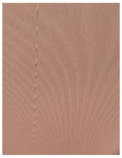 Leonisa Truly Undetectable Sheer Tummy Control Short in Brown