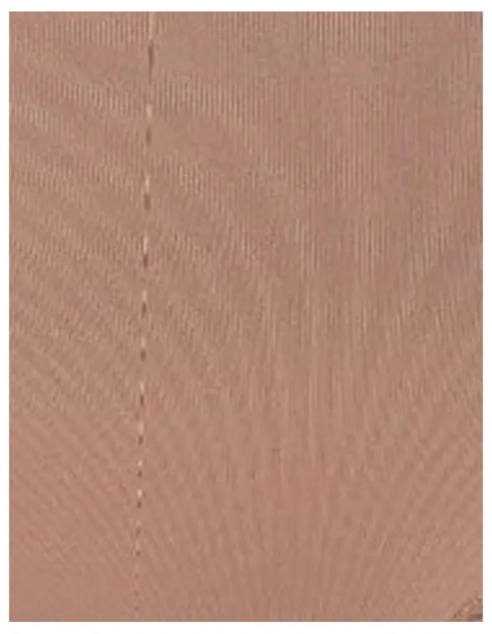 Leonisa Truly Undetectable Sheer Tummy Control Short in Brown