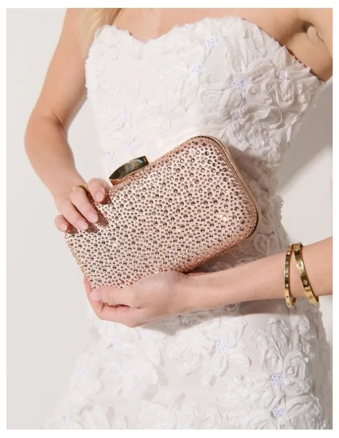 Lustre & Sage Romie Rhinestone Clutch Bag - Champagne