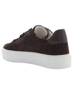 Marcs Trio Sneakers in Chocolate Suede