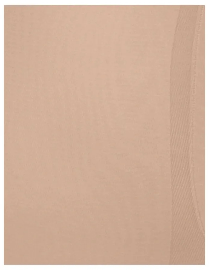 Miraclesuit Shapewear Back Magic High Waist Brief in Beige
