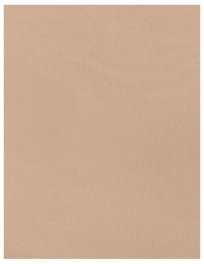 Miraclesuit Shapewear Flexible Fit Extra Firm Control Waistline Shaping Brief in Nude