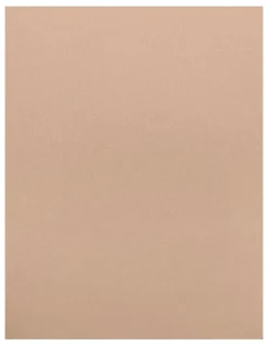 Miraclesuit Shapewear High Waist Light Shaping Brief Set of Two in Beige