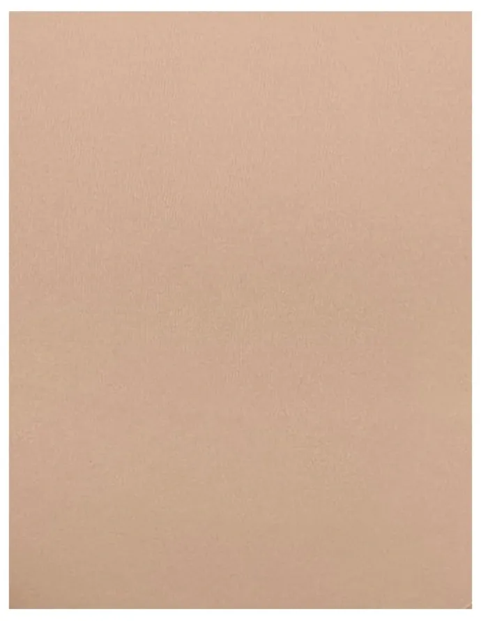 Miraclesuit Shapewear High Waist Light Shaping Brief Set of Two in Beige