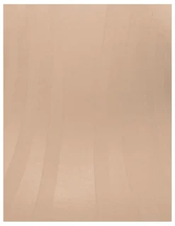 Miraclesuit Shapewear Modern Miracle Step-In Shaping Waist Cincher in Warm Beige