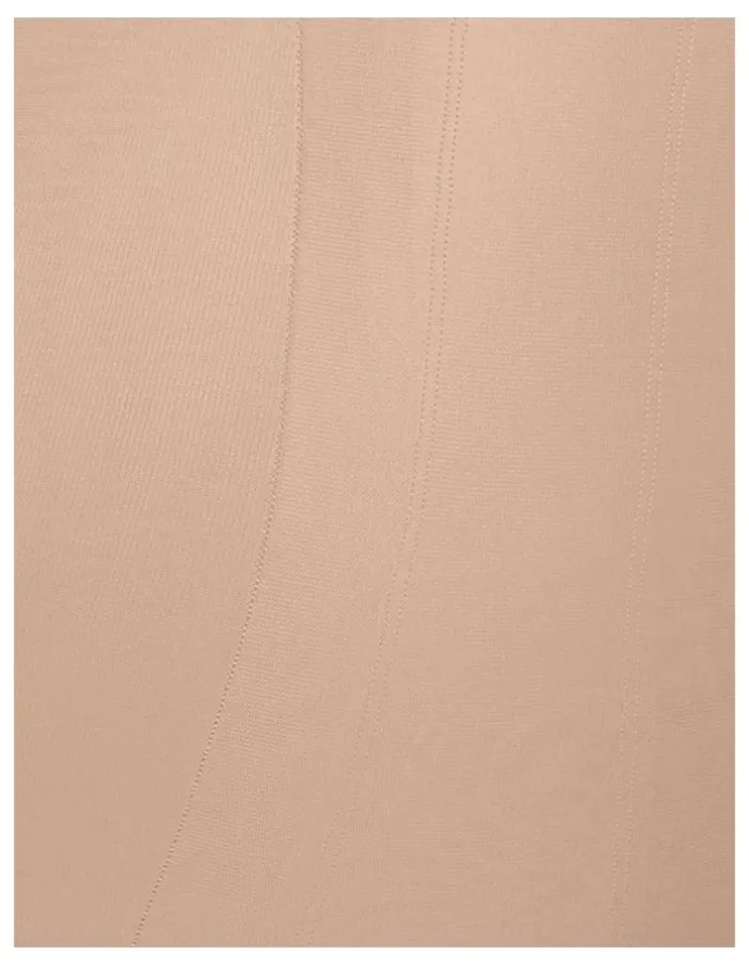 Miraclesuit Shapewear Shape with An Edge High Waist Brief in Nude