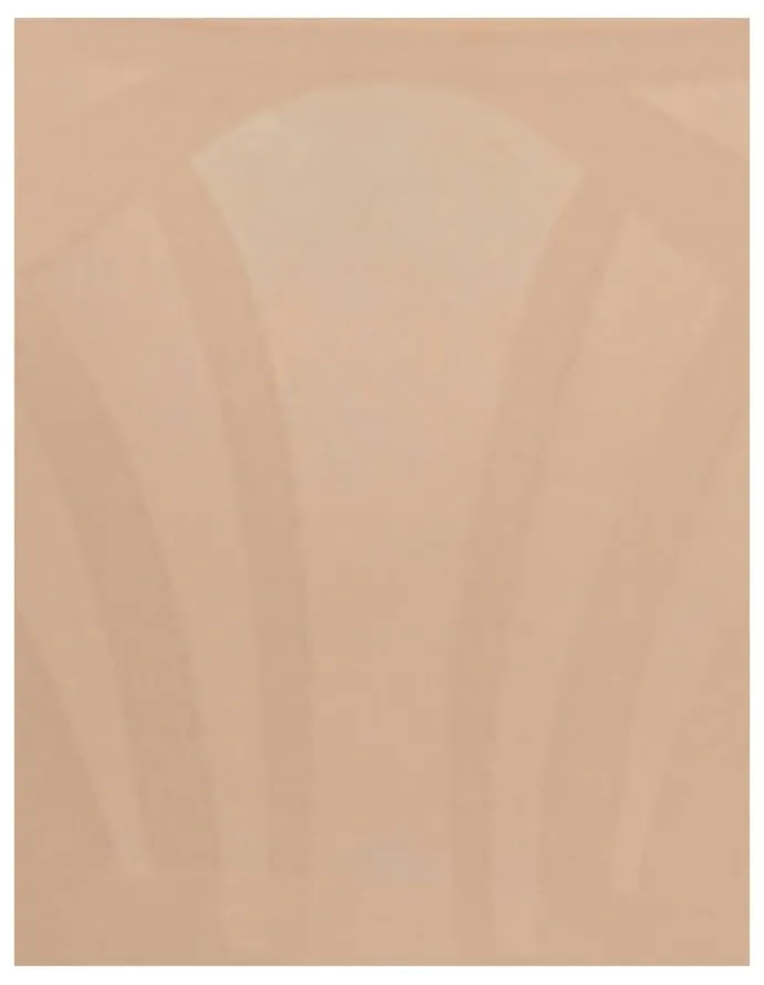 Miraclesuit Shapewear Tummy Control Shapewear Leggings in Warm Beige