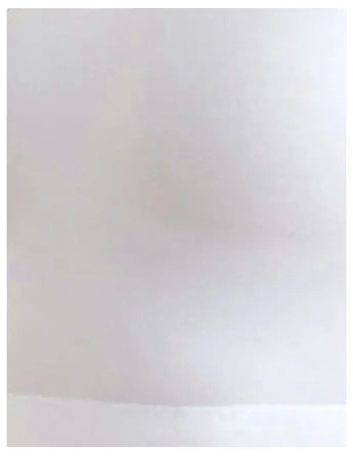 Naomi & Nicole Camisole With Underarm Smoothing in White