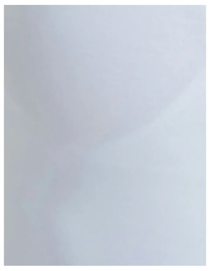 Naomi & Nicole No Side Show Covertible Strap Camisole in White