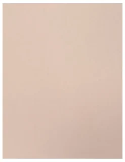Naomi & Nicole Real Smooth Ultra-High Waist Shaping Brief in Stucco