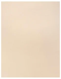 Naomi & Nicole Sidekick Full Body Low Back Shaper in Warm Beige