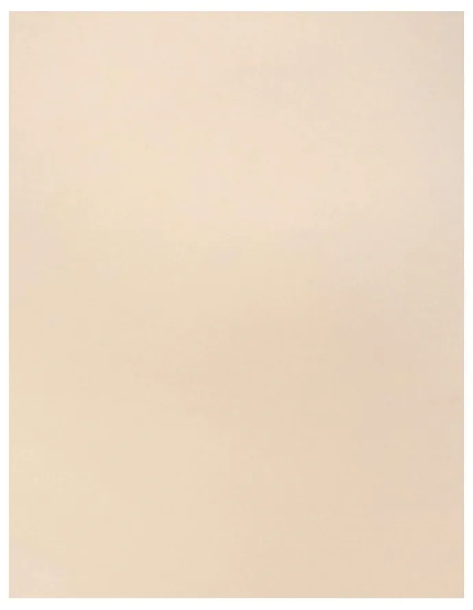 Naomi & Nicole Sidekick Full Body Low Back Shaper in Warm Beige