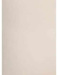 Naomi & Nicole Unbelievable Comfort Plus Size Torsette Tummy Shaper in Warm Beige