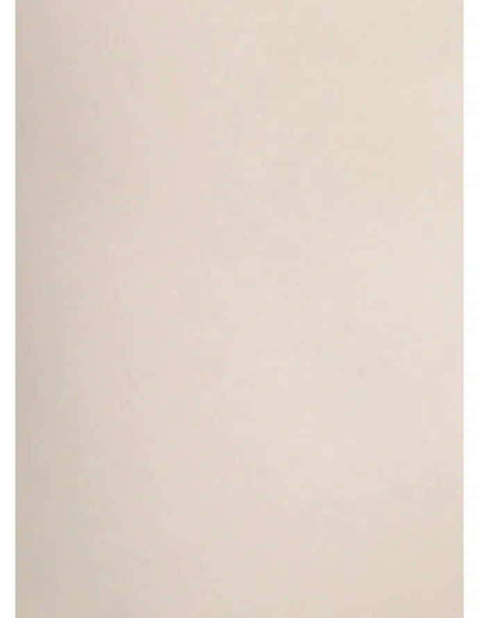 Naomi & Nicole Unbelievable Comfort Plus Size Torsette Tummy Shaper in Warm Beige