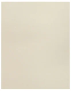 Naomi & Nicole Unbelievable Comfort Plus Size Torsette Full Body Shaper in Warm Beige