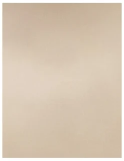 Naturana Half Slip Lingerie Underskirt in Light Beige
