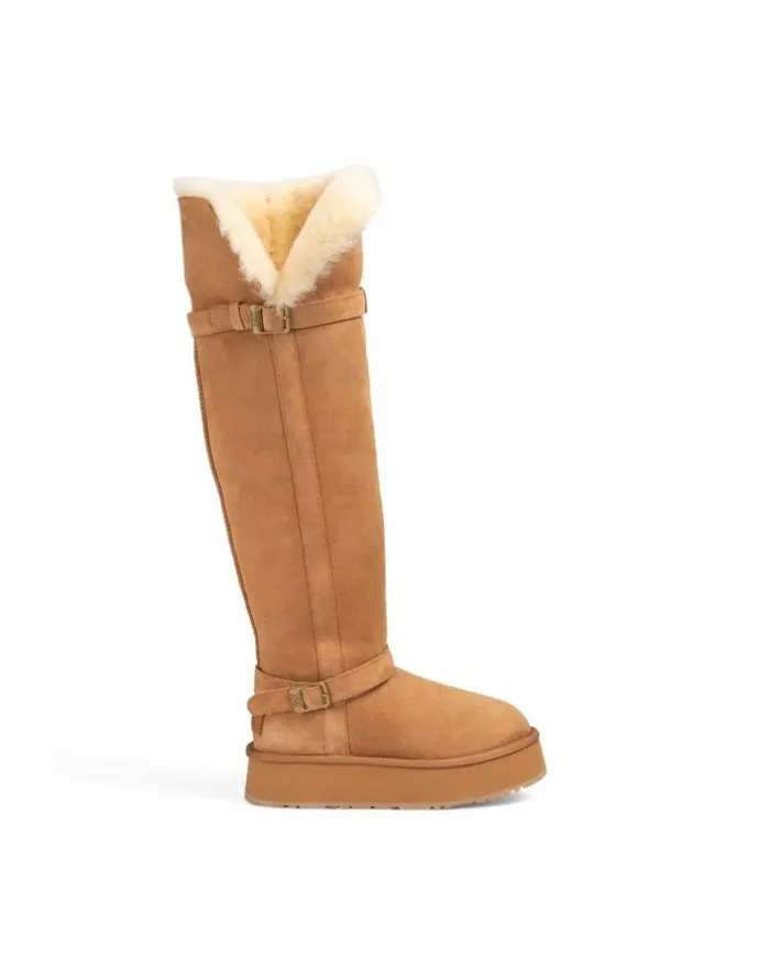 Ozwear Ugg Classic Platform Buckle Tall Boots (Over The Knee) in Chestnut