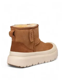 Ozwear Ugg Classic Plus Mini Boots in Chestnut