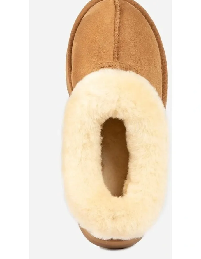 Ozwear Ugg Daniela Ankle Platform Boots in Chestnut