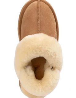 Ozwear Ugg Platform Slipper 4.5cm in Chestnut