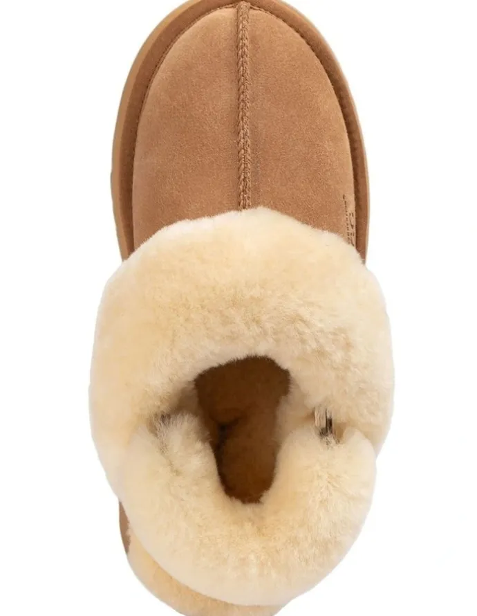 Ozwear Ugg Platform Slipper 4.5cm in Chestnut