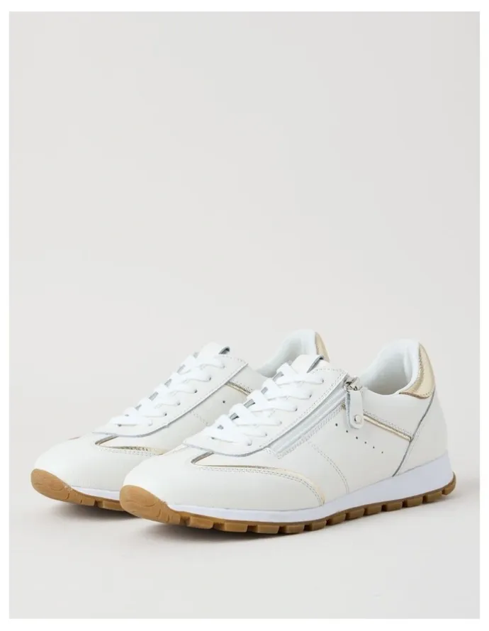 Regatta Hervey Sneaker in White