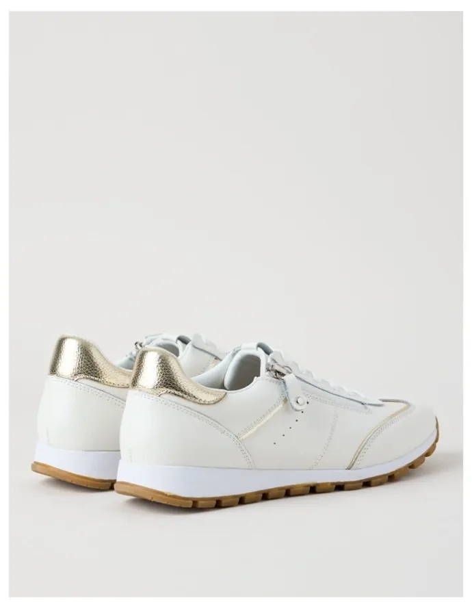 Regatta Hervey Sneaker in White