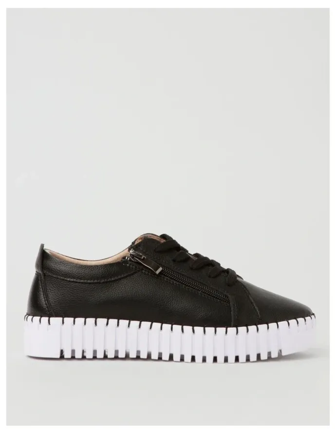 Regatta Kimberly Sneaker In Black