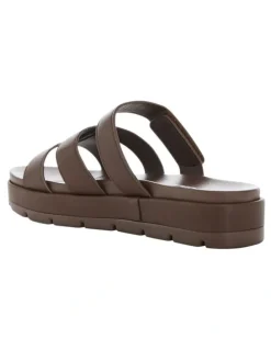 Sandler Finch Sandals in Chocolate