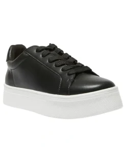 Sandler Frenzy Leather Sneakers in Black