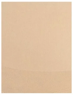 Sans Complexe Slimmers High Waist Tummy & Thigh Shaper Short in Skin